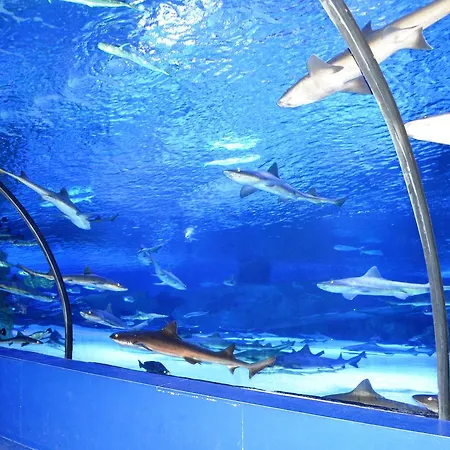 Antalya Nirvana Club 2 - First Floor 3 Bedrooms Water Slide Close To Center - Beach Park 公寓 贝莱克